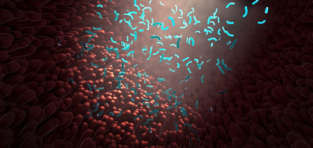 microbiote-intestinal